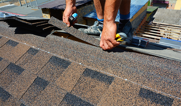 local seo for roofers